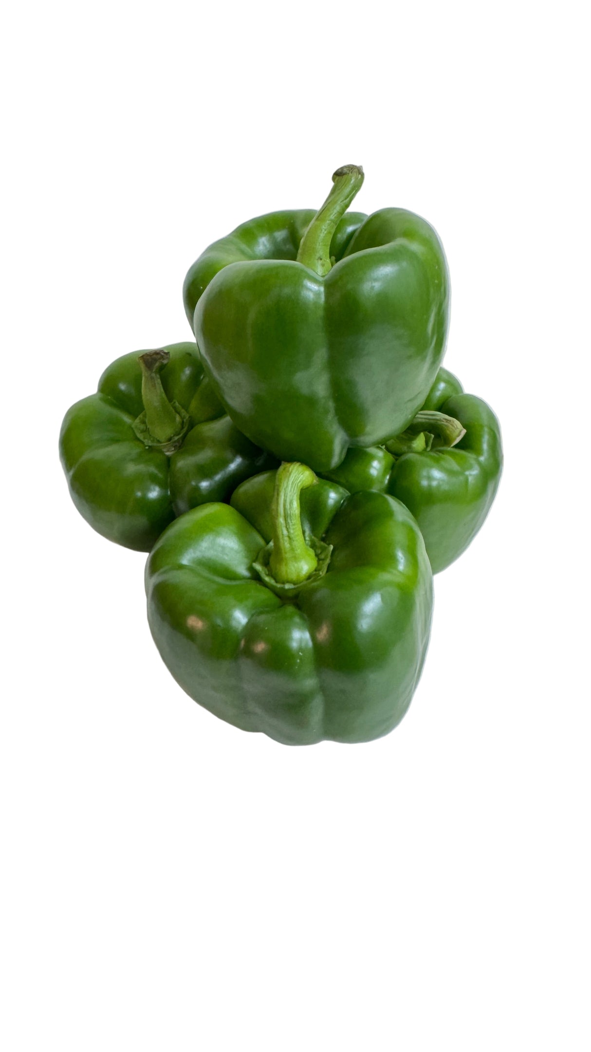 Green Pepper