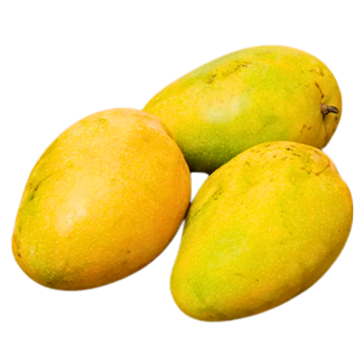 Badami Banganapalle Jumbo Mango (3-6 Pcs)