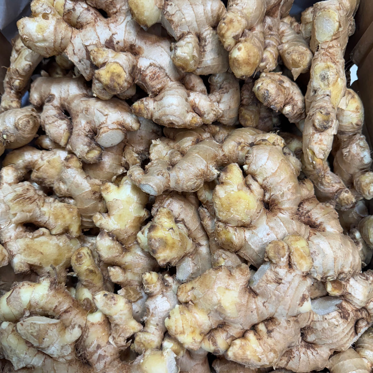 Desi Ginger (Extra Strong)