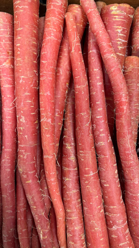 Carrot | Gajar| Gajjara Gadda |