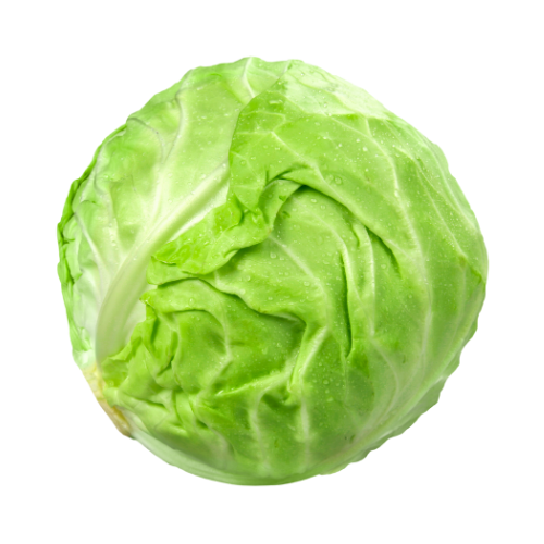 Cabbage | Patta Gobi | Kobi | Muttaikos | Muttakoos |