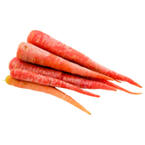 Carrot | Gajar| Gajjara Gadda