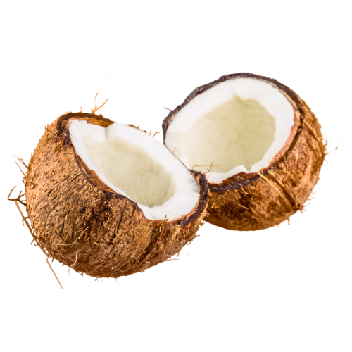 Coconut
