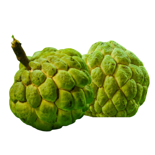 Custard Apple|Sitafal|Seethapazham| Sharifa|Sitaphalamu|