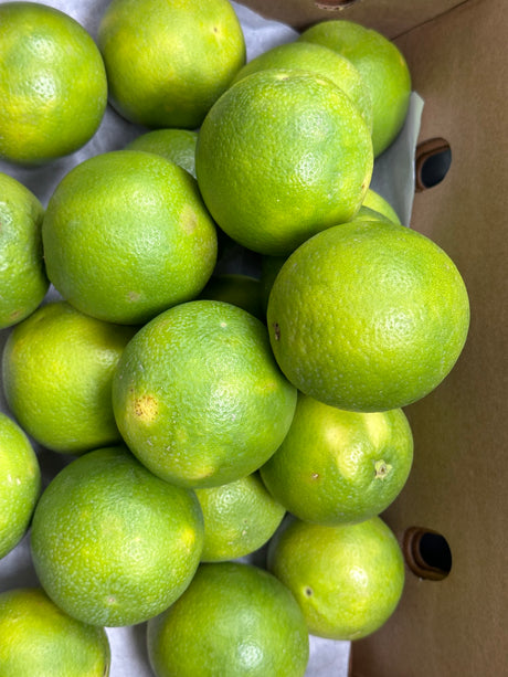 Mosambi (Sweet Lime)