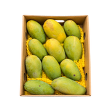 Dasheri Mango