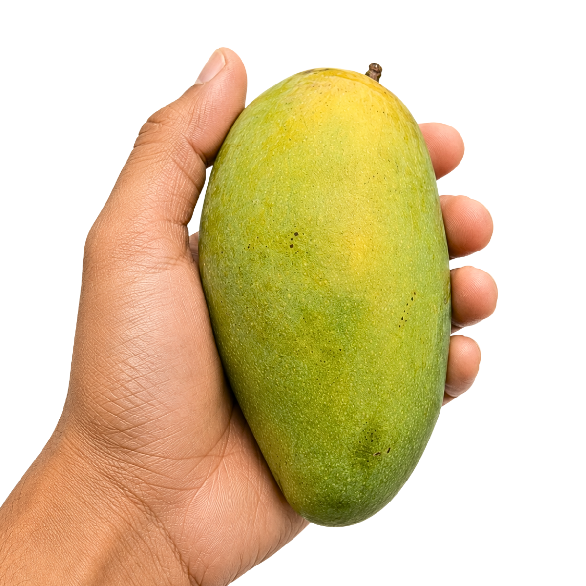 Dasheri Mango