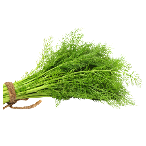 Dill Bunch