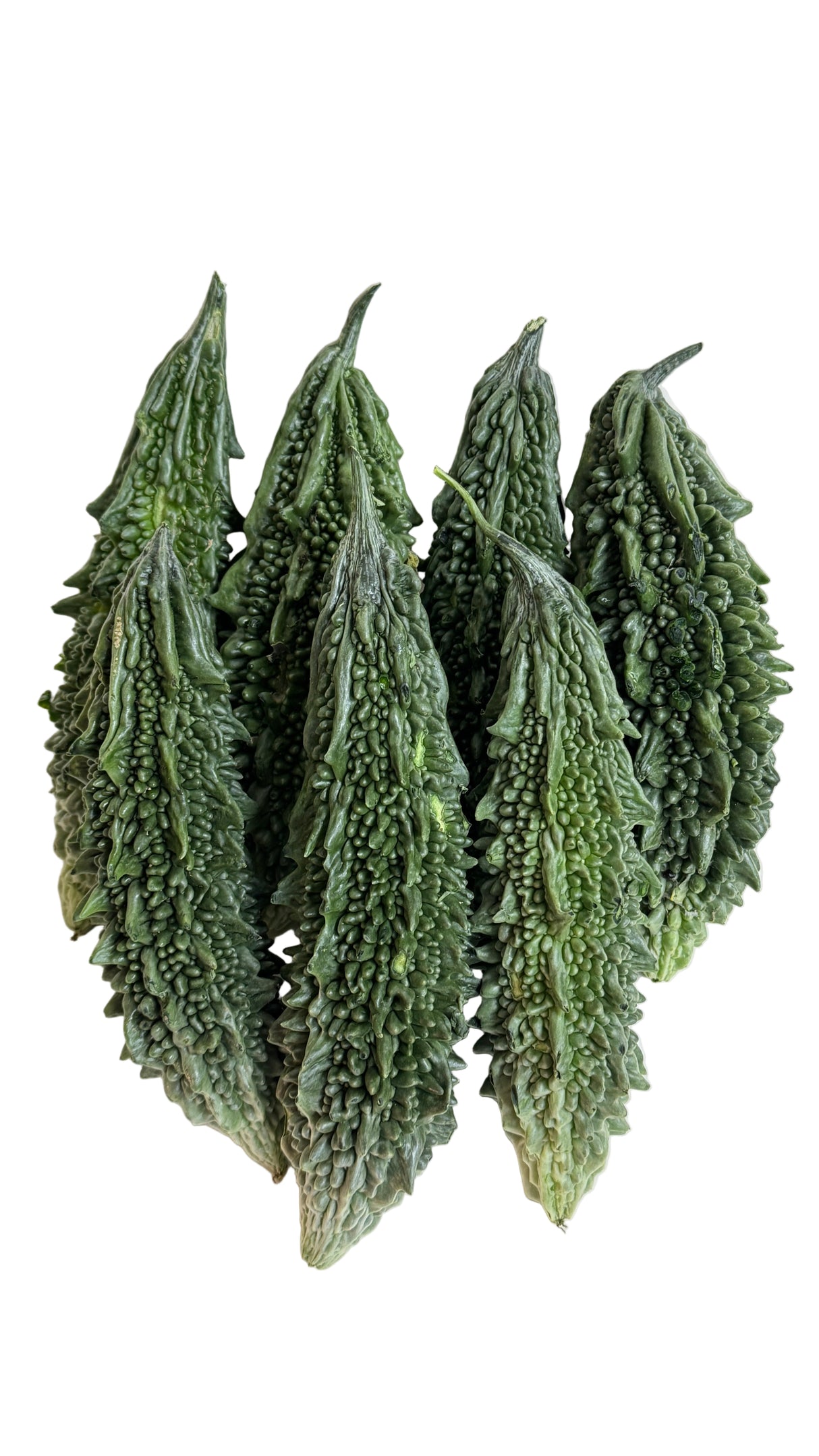 Karela