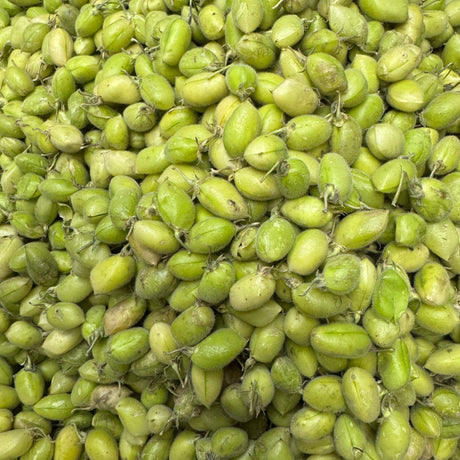 Green Chana