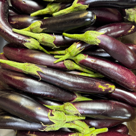 Long Ravaiya| Baingan | Ringan | Vanga | Kathirikai | Vankaya | Vazhuthananga |