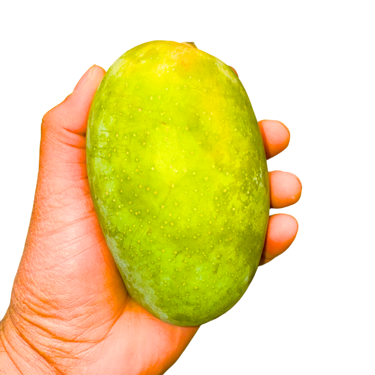 Kesar Mango 12pcs
