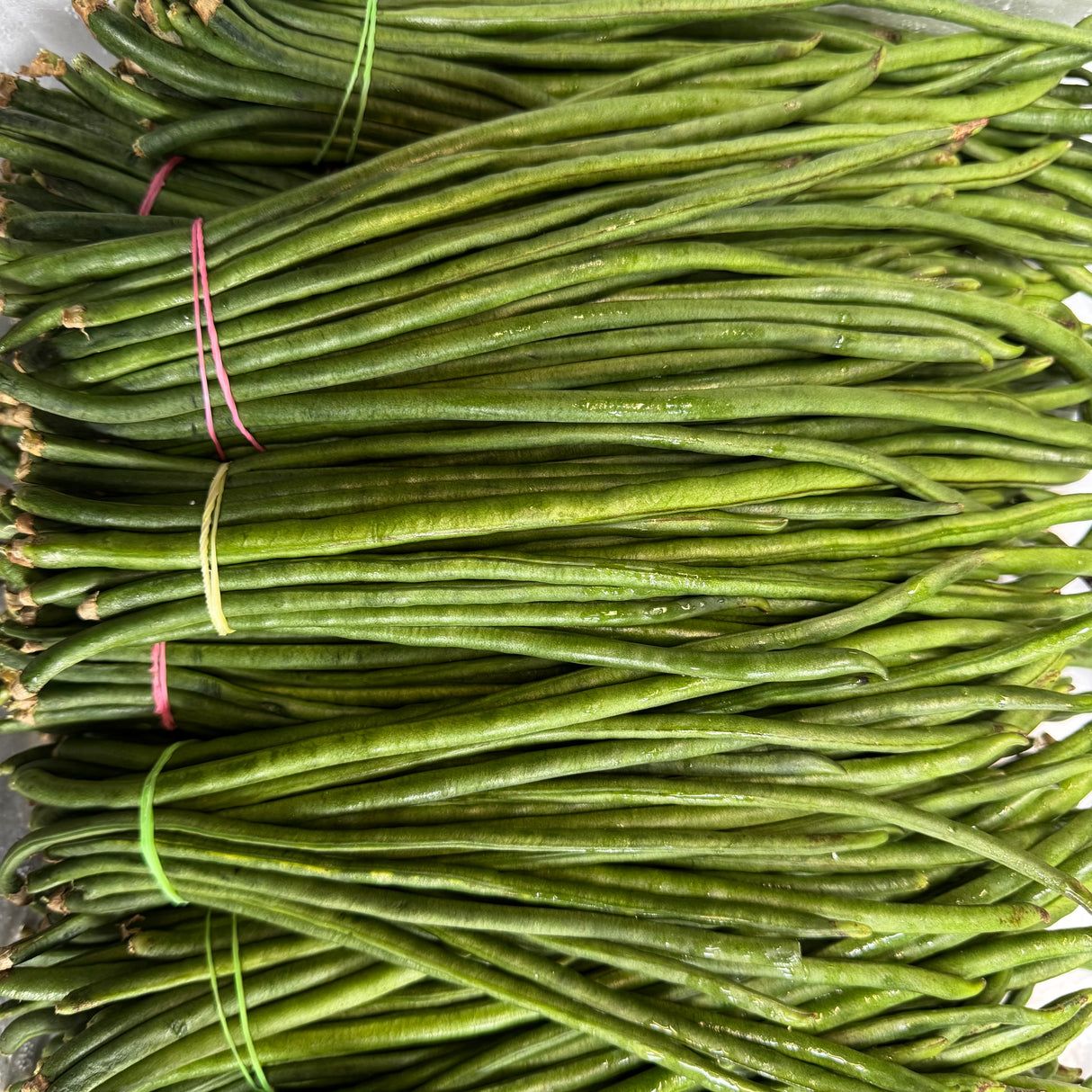 Small Green Beans (Small Chawli)