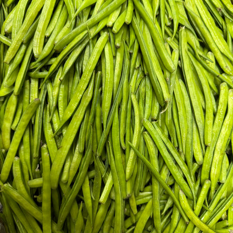 Guvar | Gawar| Kothavarangai| Goruchikkudu| Kothamara