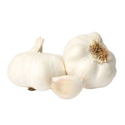 Garlic Large Pack