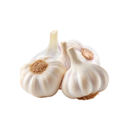 Garlic Medium Pack