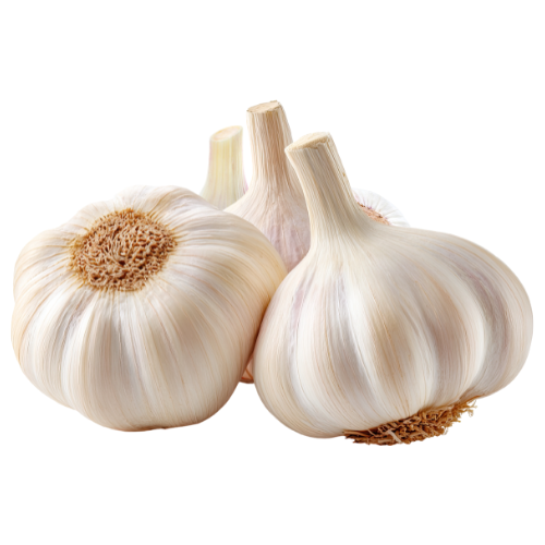 Garlic Medium Pack