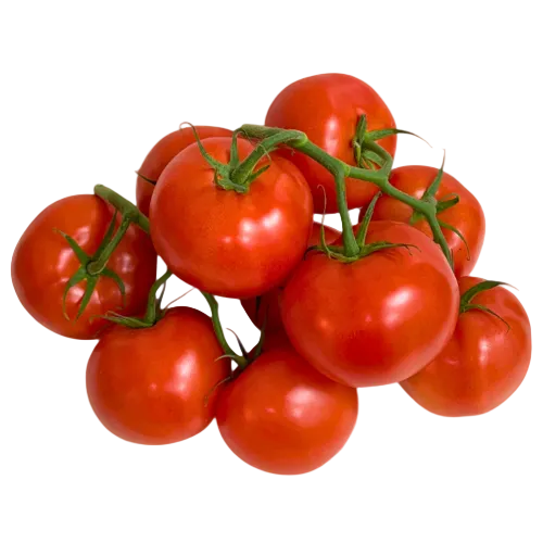 Vine Tomato