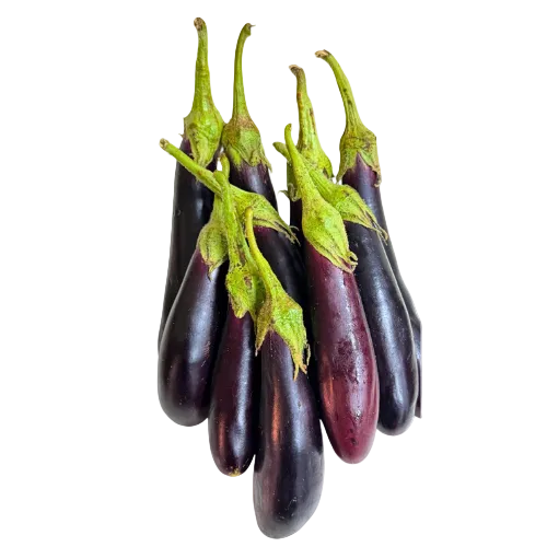 Long Ravaiya| Baingan | Ringan | Vanga | Kathirikai | Vankaya | Vazhuthananga |