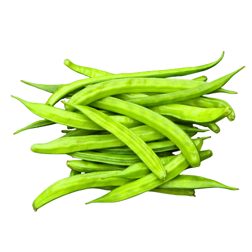 Guvar
