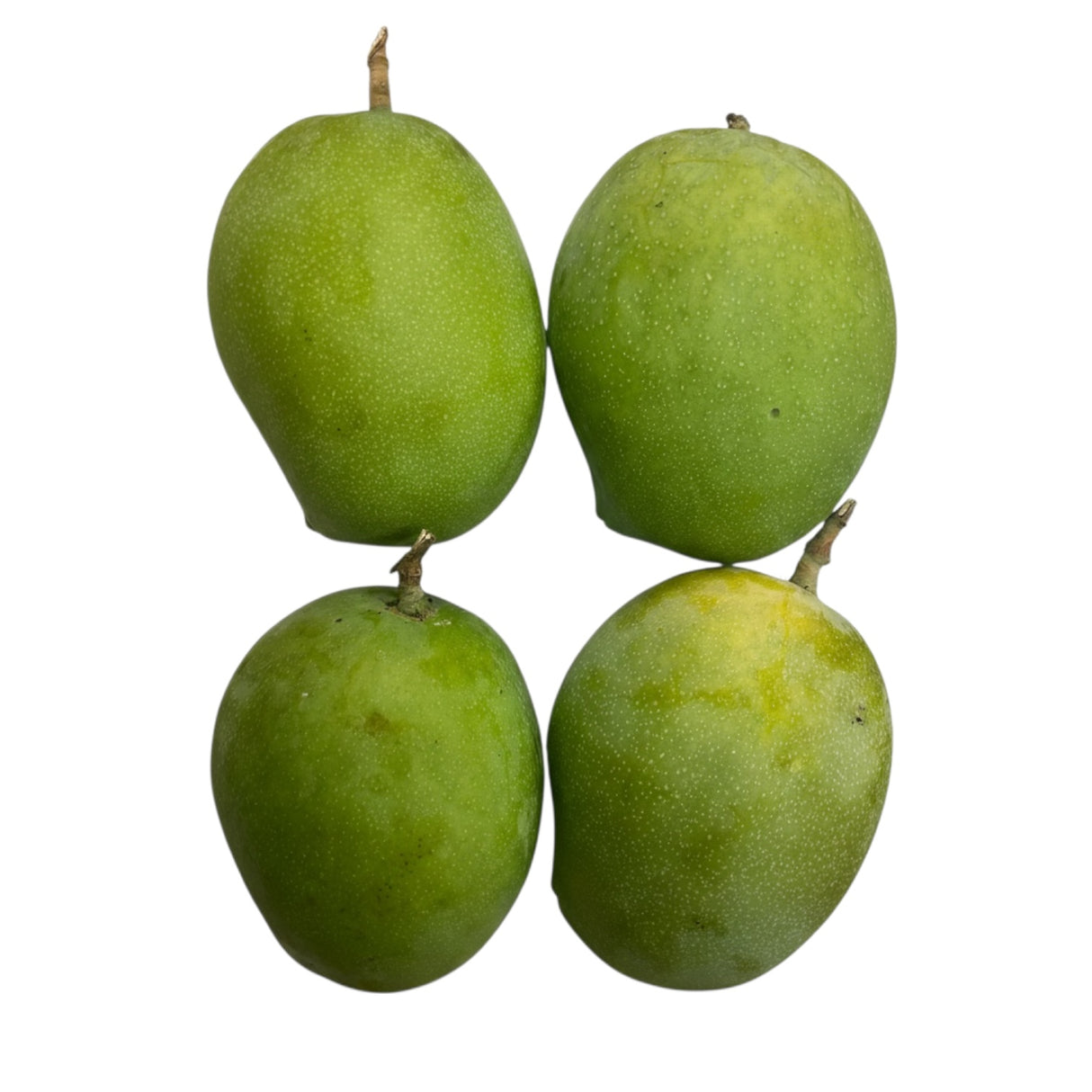 Rajapuri Raw Indian Mango 1pc