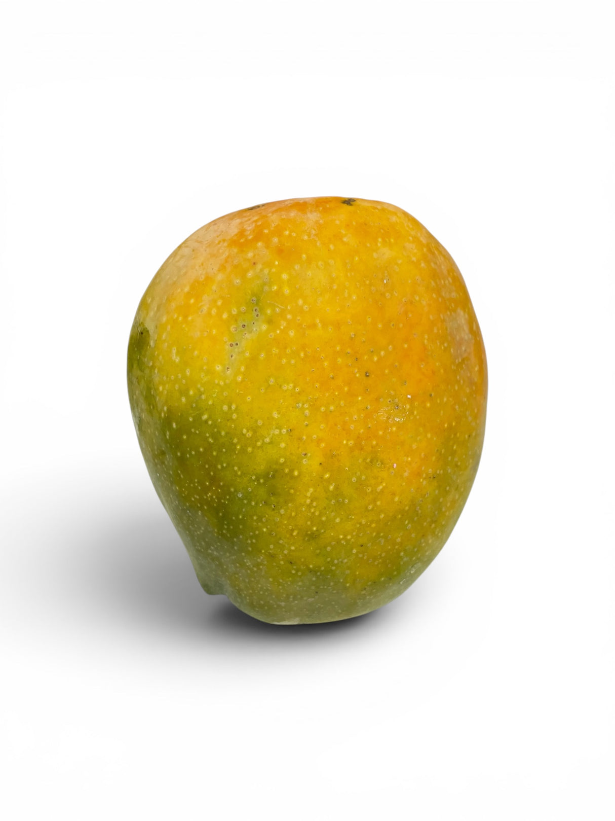 Rajapuri Ripe Mango