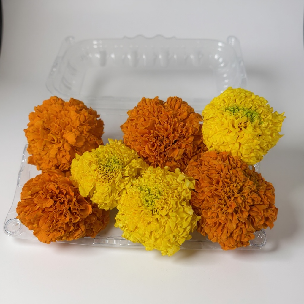 Marigold Flower (Yellow & Orange Mix)