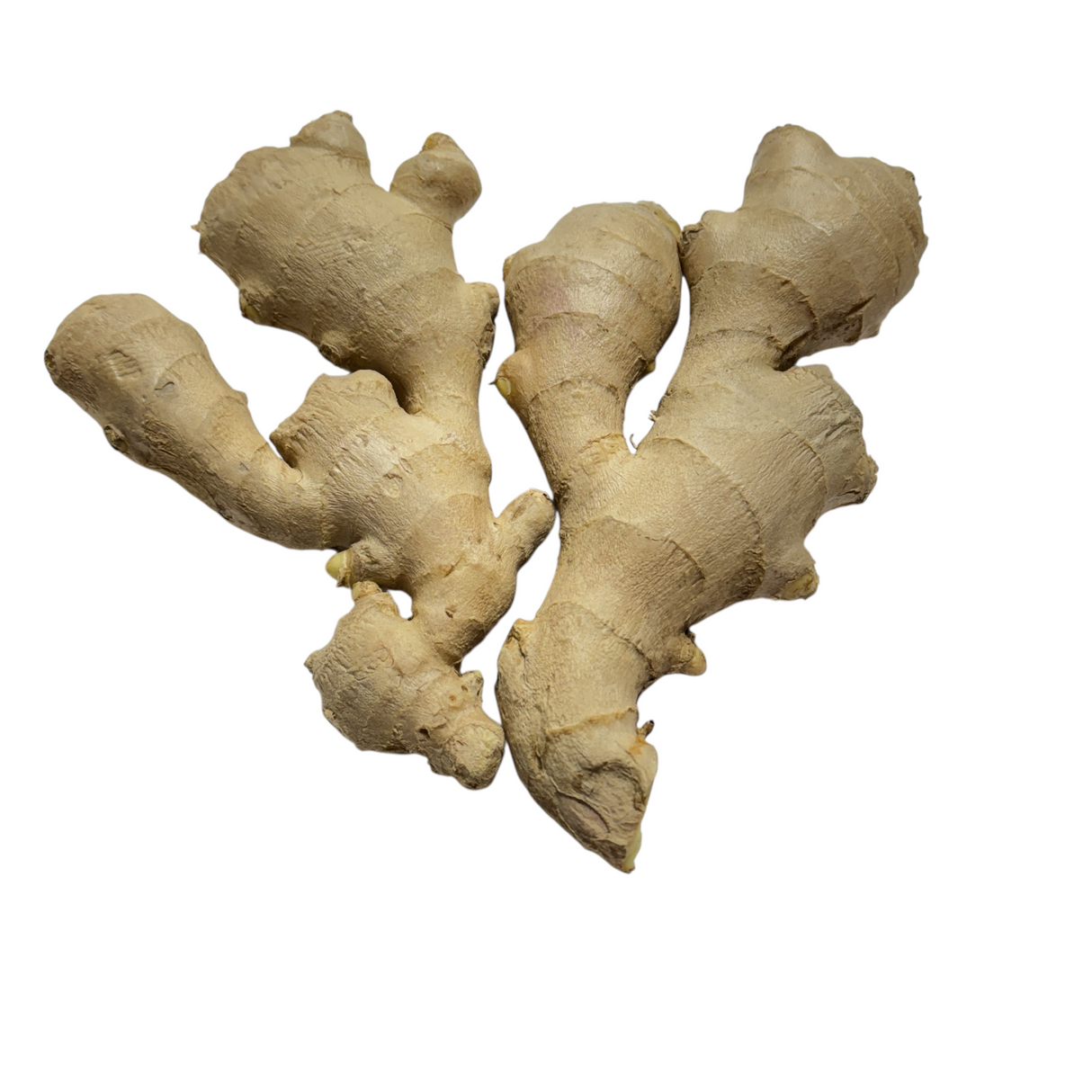 Ginger