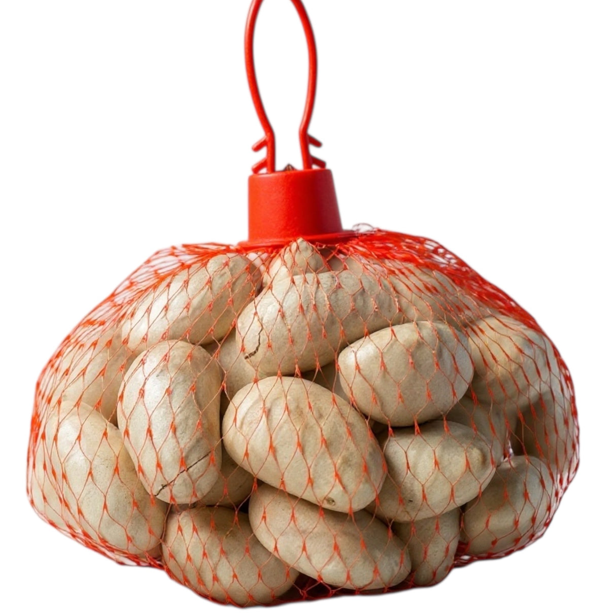 Fresh Jackfruit Seed