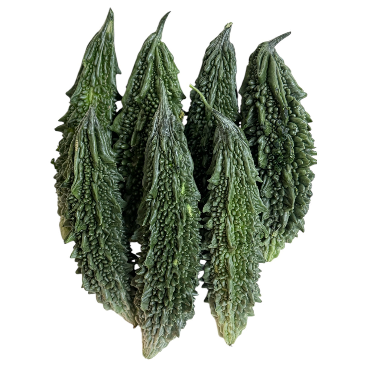 Karela| Bitter Gourd| Bitter Melon| Karelu| Karla| Pavara Kaiy| Kakara Kayi| Pavakka