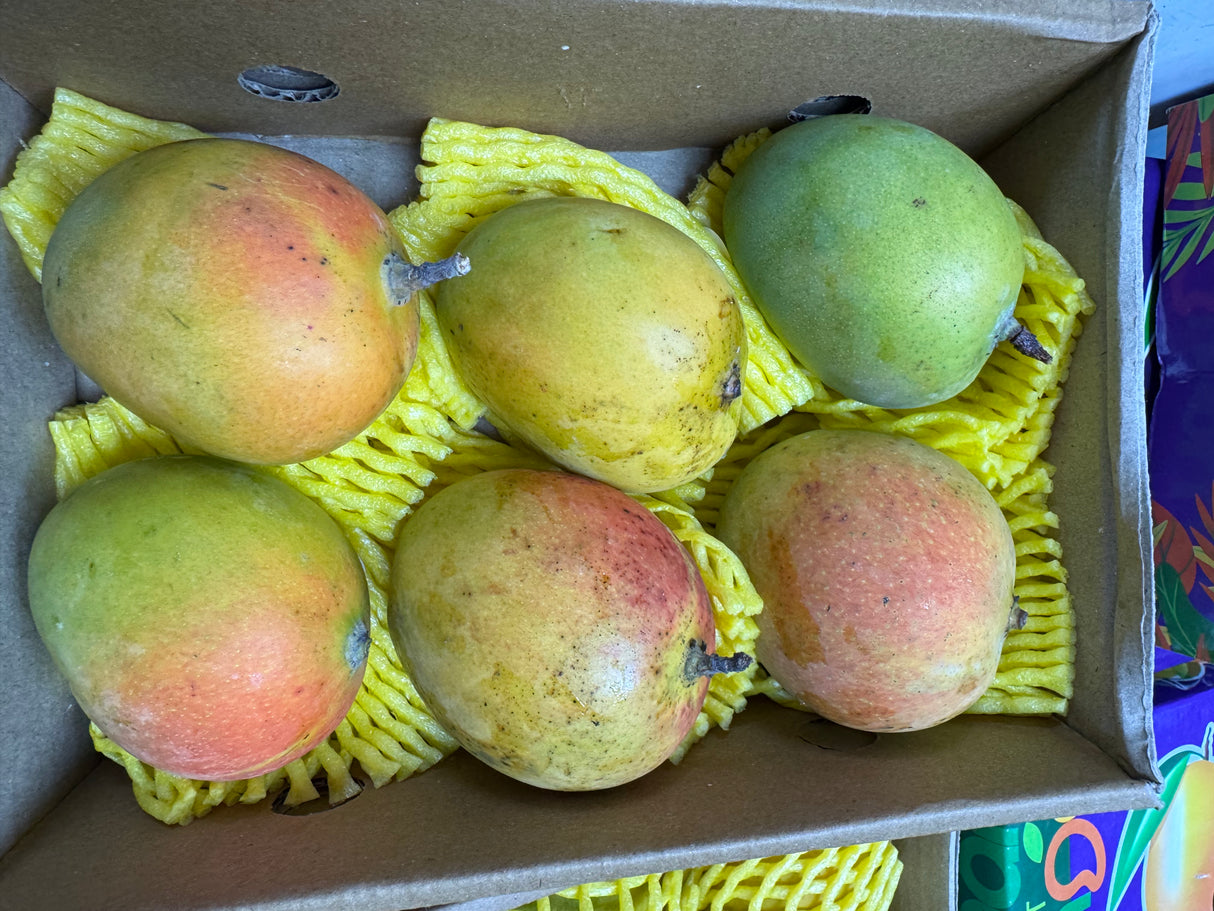 Alphonso Mango Small Box