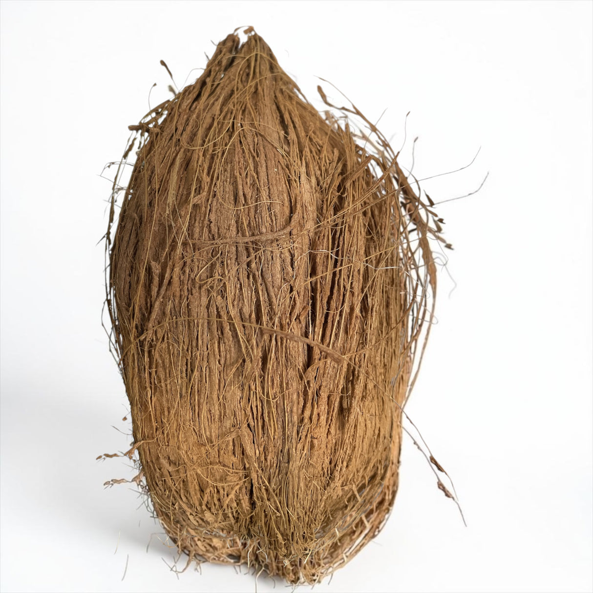Whole Coconut With Husk (By Air) ✈️
