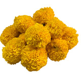 Yellow | Genda | Galgoto | Marigold |Flower