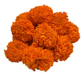 Orange | Genda | Galgoto | Marigold | Fresh Flower