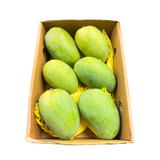 Kesar Mango 6pcs
