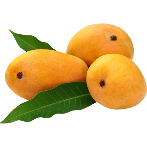 Royal Size Kesar Mango 12pcs