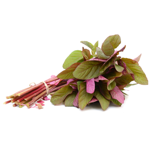 Lal Math | Red Amaranath Leaves | Chaulai | Tandaljo | Molaikeerai |Totakura | Chuvanna Cheera |