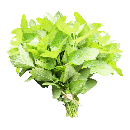 Mint Bunch