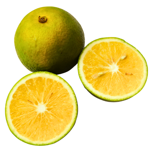 Mosambi (Sweet Lime)
