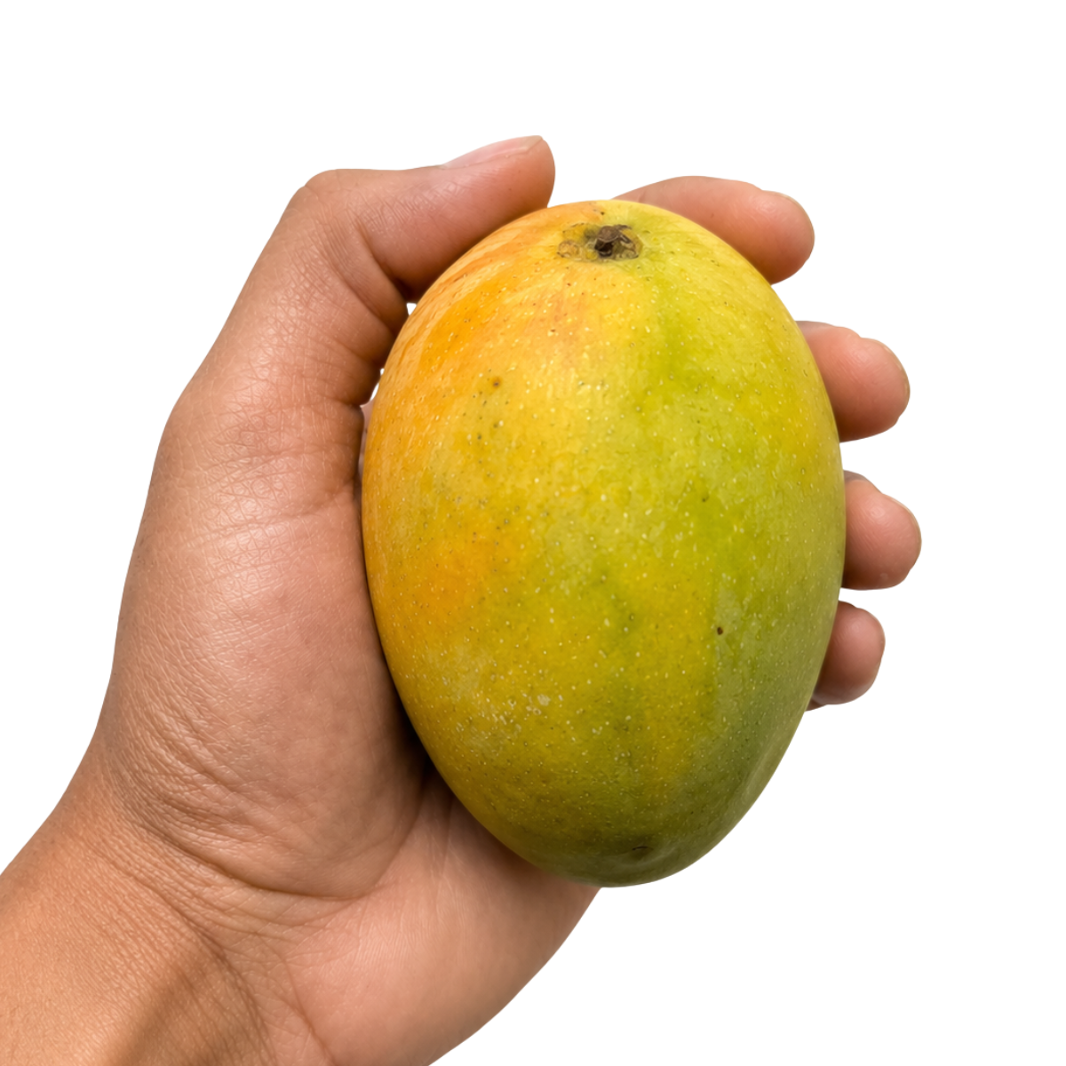 Payri Mango