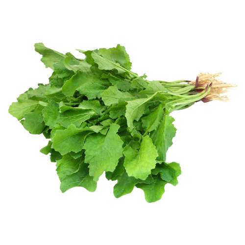 Saag Bunch