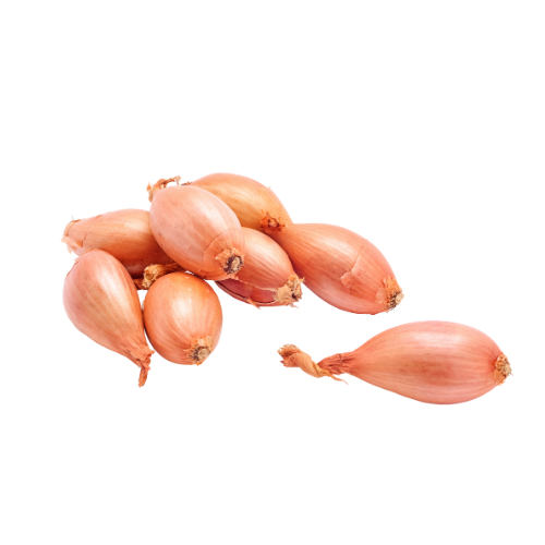 Shallot Onion