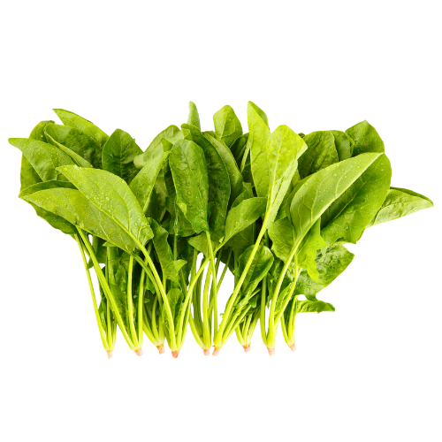 Spinach Bunch