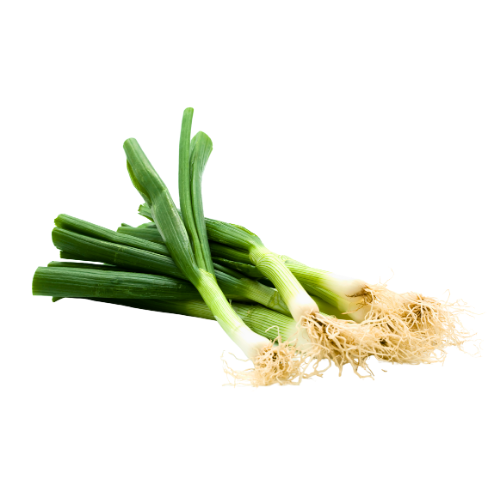 Spring Onion Bunch