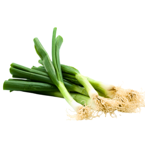 Spring Onion Bunch