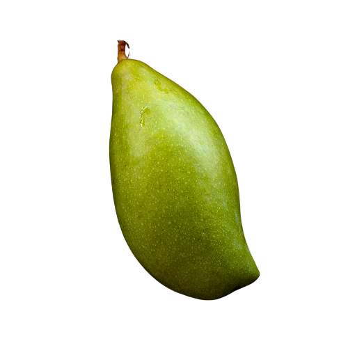 Totapuri Raw Mango