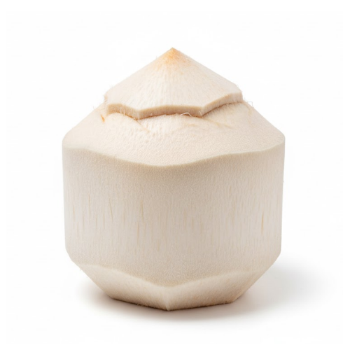 Young Coconut
