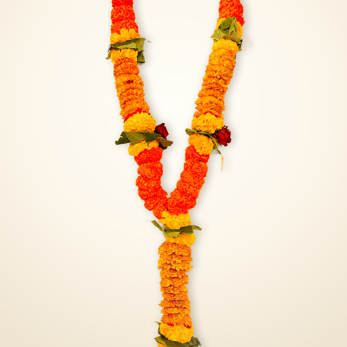 Orange & Yellow Marigold | Genda Haar | Fresh Flower Garland