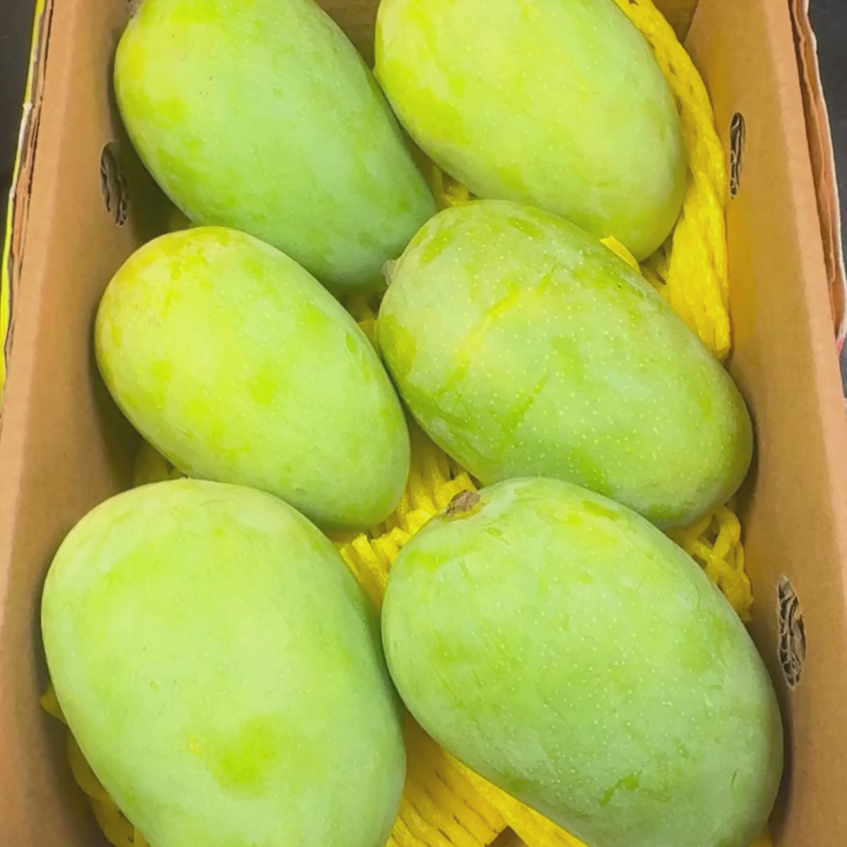 Kesar Mango 6pcs