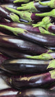 Long Ravaiya| Baingan | Ringan | Vanga | Kathirikai | Vankaya | Vazhuthananga |